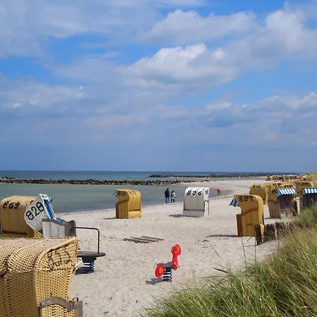 Ostseerobbe