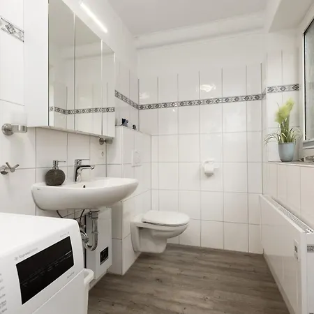 Ostseerobbe Schönberg in Holstein