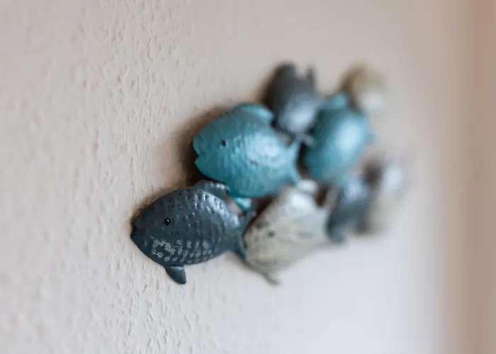 Ostseerobbe * Schönberg in Holstein