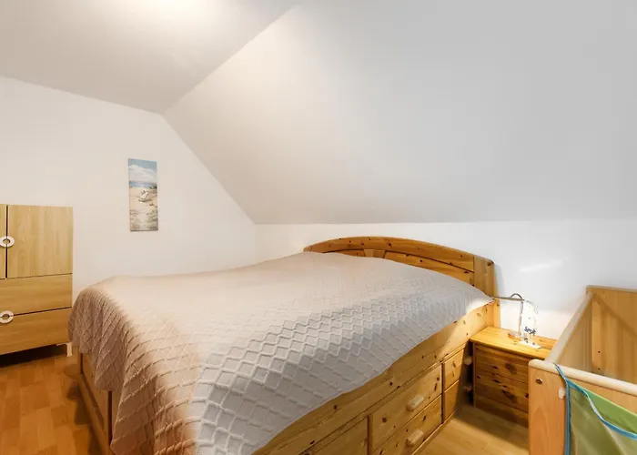 Ostseerobbe * Schönberg in Holstein